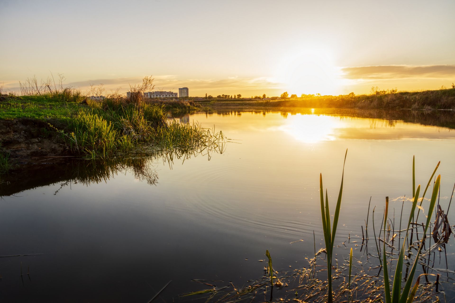 Вечерняя гладь